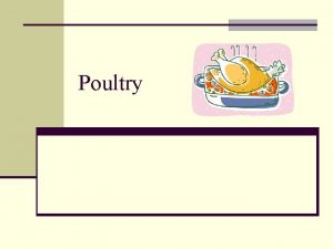 Poultry What is poultry Poultry is the term