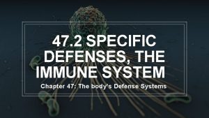 47 2 SPECIFIC DEFENSES THE IMMUNE SYSTEM Chapter