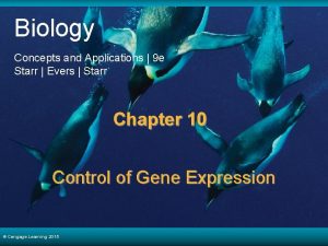 Biology Concepts and Applications 9 e Starr Evers