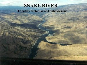 SNAKE RIVER Tributary Protection and Enhancement FISH AND