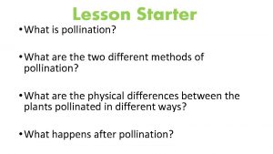 Lesson Starter What is pollination What are the