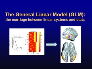 The General Linear Model GLM the marriage between