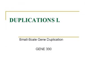 DUPLICATIONS I SmallScale Gene Duplication GENE 330 PEDEGREE