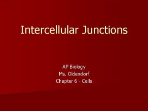 Intercellular Junctions AP Biology Ms Oldendorf Chapter 6