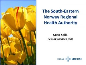 The SouthEastern Norway Regional Health Authority Grete Solli