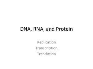 DNA RNA and Protein Replication Transcription Translation Semiconservative