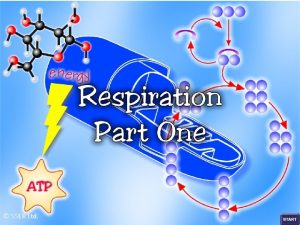 SSER Ltd Respiration The process that allows cells