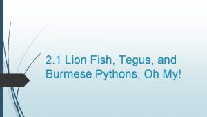 2 1 Lion Fish Tegus and Burmese Pythons