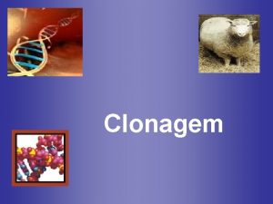 Clonagem Clonagem Originada da palavra grega Klon basicamente