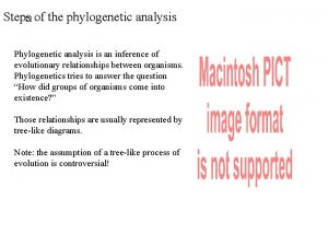 Steps of the phylogenetic analysis Phylogenetic analysis is