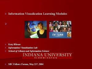 Information Visualization Learning Modules Katy Brner Information Visualization