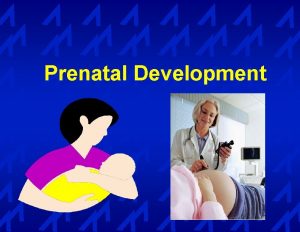 Prenatal Development Prenatal factors are the leading cause