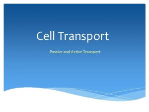 Cell Transport Passive and Active Transport About Cell