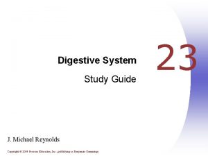 Digestive System Study Guide J Michael Reynolds Copyright