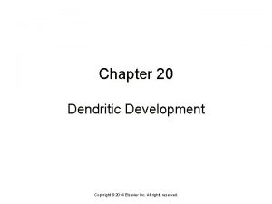 Chapter 20 Dendritic Development Copyright 2014 Elsevier Inc