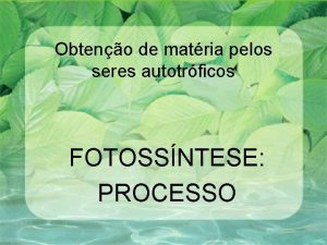 Obteno de matria pelos seres autotrficos FOTOSSNTESE PROCESSO