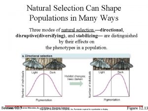 Natural Selection Can Shape Populations in Many Ways