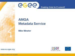 Enabling Grids for Escienc E AMGA Metadata Service