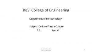 Rizvi College of Engineering Department of Biotechnology Subject