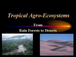 Tropical AgroEcosystems From Rain Forests to Deserts Wet