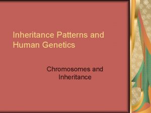 Inheritance Patterns and Human Genetics Chromosomes and Inheritance
