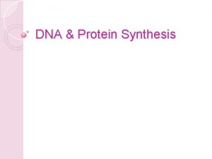DNA Protein Synthesis The Major Players Their Work