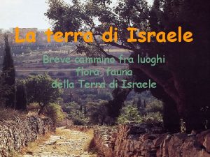 La terra di Israele Breve cammino fra luoghi