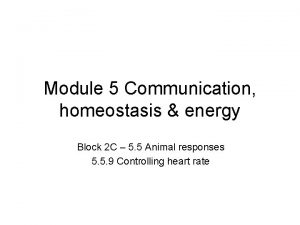 Module 5 Communication homeostasis energy Block 2 C