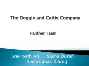 The Doggie and Cattie Company Panther Team Sreyroath