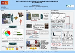 SOILS CONTAMINATED WITH HEXAVALENT CHROMIUM SORPTION MIGRATION AND