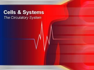 Cells Systems The Circulatory System The Circulatory System