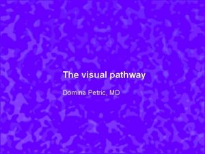The visual pathway Domina Petric MD Introduction Cortical