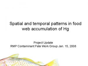 Spatial and temporal patterns in food web accumulation