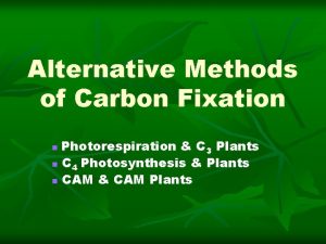 Alternative Methods of Carbon Fixation Photorespiration C 3