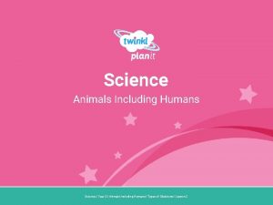 Science Animals Including Humans Year One Science Year