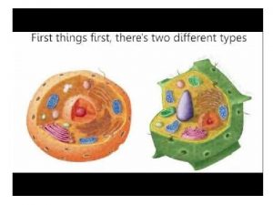 Cell Organelles TYPICAL ANIMAL CELL TYPICAL PLANT CELL