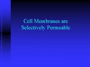 Cell Membranes are Selectively Permeable What can pass
