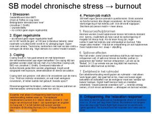 SB model chronische stress burnout 1 Stressoren Geidentificeerd