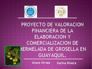 PROYECTO DE VALORACION FINANCIERA DE LA ELABORACION Y