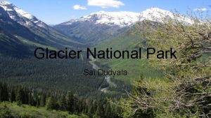 Glacier National Park Sai Dudyala Transportation Delta Airlines