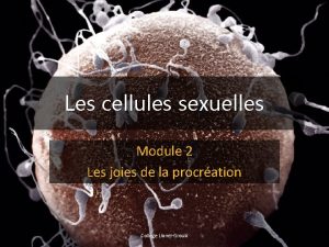 Les cellules sexuelles Module 2 Les joies de