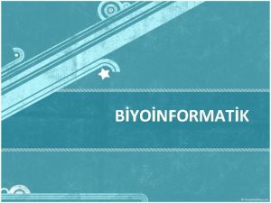 BYONFORMATK erik Biyoinformatik nedir Tarihe nemi Amalar Uygulama