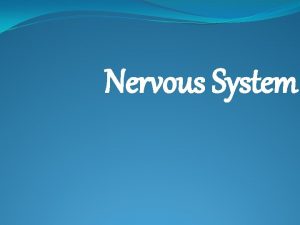 Nervous System Nervous System The nervous system is