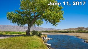 June 11 2017 Prelude for Worship Martha Short