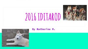 2016 IDITAROD By Katherine M introduction The iditarod