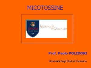 MICOTOSSINE Prof Paolo POLIDORI Universit degli Studi di