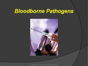 Bloodborne Pathogens OSHAX org The Unofficial Guide To