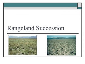Rangeland Succession Succession o o The orderly change