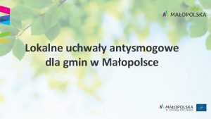 Lokalne uchway antysmogowe dla gmin w Maopolsce Zaoenia