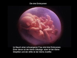 Die drei Embryonen Im Bauch einer schwangeren Frau